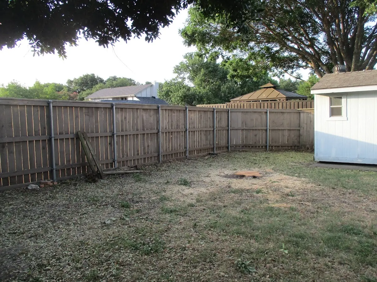 Cleared yard after professional tree removal in Layland